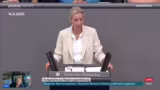 Diskussion über staatliche Or…