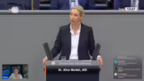 Weidels Rede zu Israel und Ir…