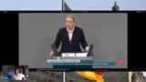 Kritik an Scholz und der Migr…