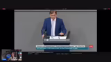 AfD's Positionierung und Krit…
