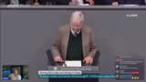 AfD und Systemkritik