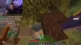 Custom Tree Bau und Server-Ge…