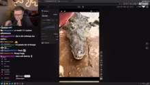 LETZTER STREAM VOR 2 WOCHEN AMAZONAS RE…