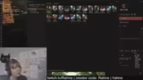 Guest Stream: @Rahne with solo pvp