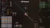 CCP Plüschtier Vorstellung un…