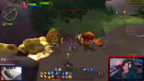 Questvielfalt und Level-Erfah…