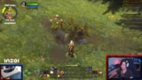 Indie-Boof und Guild Wars 2