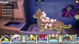 Tierheim-Simulation: Erste Ei…