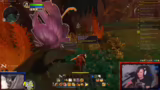 Questabschluss und Stream-Ende