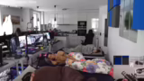 I'm Only Sleeping