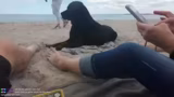 IRL