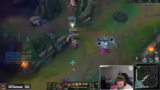 Kurzer Stream und Random Champ