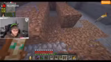 Minecraft-Bauprojekte und per…