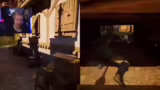 Split Fiction Gameplay
