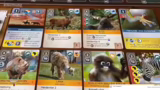 Spielende und Reflexion