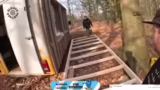 Tiny House Projekt: Fertigste…