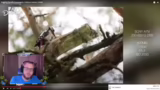Diskussion über Wildtierfotog…