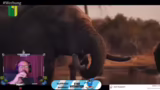 Safari in Botswana und die Ko…