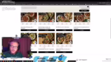 Erfahrungen mit HelloFresh un…
