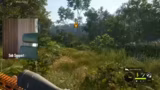theHunter: Call of the Wild
