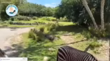 Kilimanjaro Safari und Tierbe…