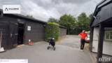 Trainingsvorbereitungen vom Golfplatz -…