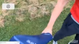 IRL