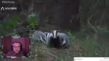 Diskussion über Tiergarten Nü…