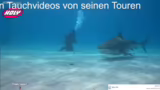 Regeln und Herausforderungen…