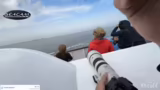 Wattenmeer als UNESCO-Weltnat…