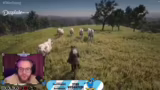Ranchvorstellung und Immersion