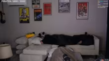 Übernachtungsstream mit @xrohat Du muss…
