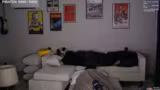 Übernachtungsstream mit @xrohat Du muss…
