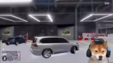Fahrzeugtuning, Bankgeschäfte…