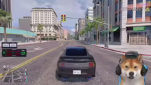 ECHTE POLIZISTEN in GTA RP