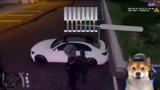 Verfolgungsjagd und Fahrzeugv…