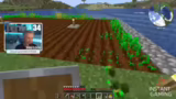 Kühe, Creeper und Serverprobl…
