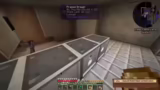 Neuer Skin, Skyblock-Projekt…