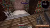Bibliotheksbau und Müscraft-E…