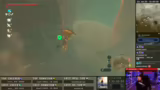 Erkundung von Hyrule und Ques…
