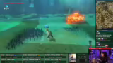 Breath of the Wild: Mastersch…