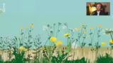 Die Butterblume und ihre Namen