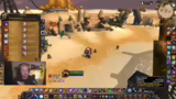 Schamanen-Tank-Guide: Totem-M…
