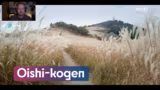 Japan: Reise in eine andere Welt