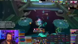 Erster Viewer Raid und Umgang…