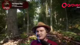 YouTube's Content-Erkennung u…