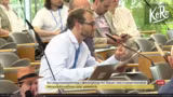 AfD-NRW-Chef wirft Alice Weidel "Antifa…