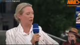 AfD-Programmatik und politisc…