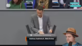 Kritik an politischer Entsche…