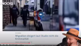 AfD und das Volksverständnis:…